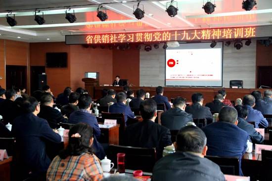 1525050028441839.jpg 53.jpg